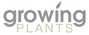 Growing Plants
